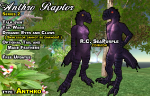 Raptor - R.C.SeaPurple