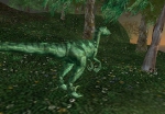 The Jade Raptor